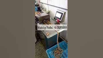 sausage tying machine sausage clipper sausage linking knotting machine sausage twist machine