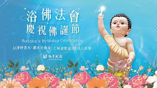 ☀〈2024佛誕吉祥〉☀ 浴佛法會 迴向法界眾生 共植福慧 結此聖緣🌷🌷