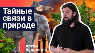 Стань учёным! | Тайные связи в природе - Артём Акшинцев