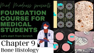 Bone Histology | Chapter 9 | Compact vs Spongy bone | MM foundation course for Medical students