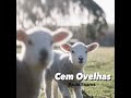 Cem Ovelhas - Paulo Soares - Eram Cem Ovelhas - 100 Ovelhas