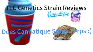 The TLC Genetic show : Blue Zlurpee by Cannatique (Strain Review)