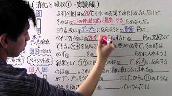 理科 消化と吸収まとめ Youtube
