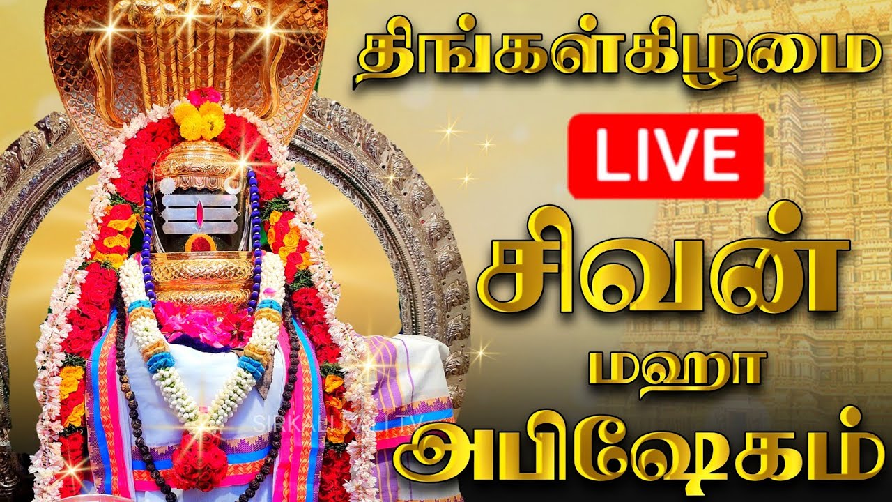 🔴LIVE திங்கள் கிழமை சிவன் மஹா அபிஷேக காட்சி பாருங்க! | Monday Sivan Abhishekam 