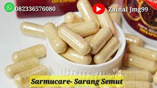 Jual Sarmucare Sarang Semut Papua || Sarmucare Walatra Sarang Semut Original BPOM || 082336576080