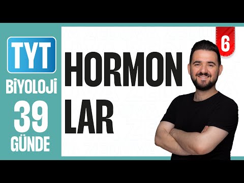 Hormonlar - Konu