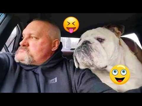 I Wanted a Dog, But God Gave Me a Comedian! 🐶😂| TOP Funny Dog Videos 2026 #1