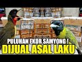 UNBOXING ! PULUHAN EKOR SAMYONG/BURUNG 1001 SUARA DIJUAL SELAKUNYA DIKIOS PASAR PRAMUKA