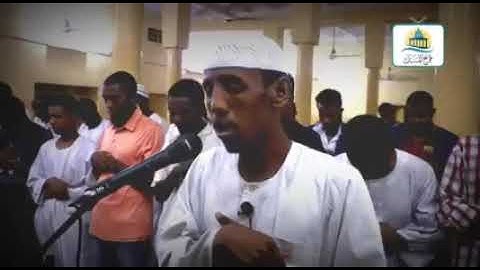 القارئ حسام عبدالباقي || ايات من سورة الأعراف