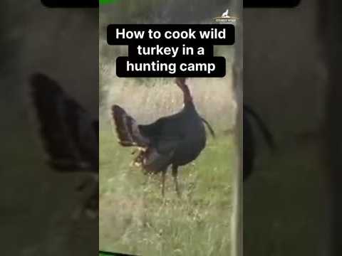 How to cook wild turkey in a hunting camp