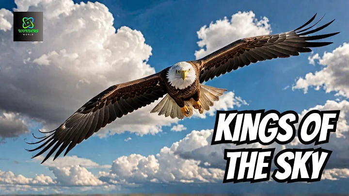 Eagles The Kings of the Sky  Free Documentary Nature | Wonders World