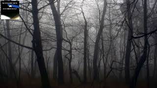 DARK TENSION RISING  Download and Royalty FREE