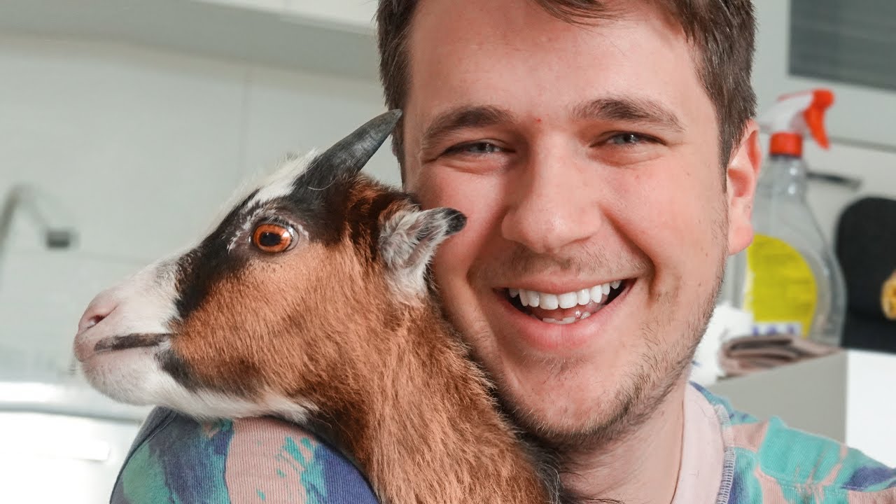 Kupili smo Kozu!! Novi Kućni Ljubimac 🐐