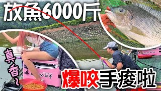 瘋狂放魚6000斤 大咬釣魚釣到手抽筋！這台粉紅超跑配美腿太香了 #三步五食魚池 #MancingIkan #つり @evemu716 @baitcastingreelspecialty