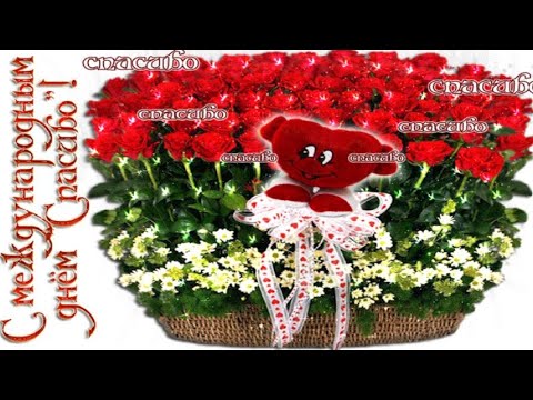 Международный День Спасибо💖11 января! International Thank You Day