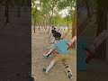 free cricket coaching no fees #freecricketcoaching #cricket #cricketshorts #shorts #shadowpractice