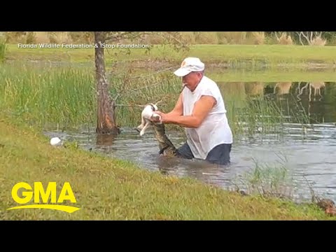 Man jumps into water, saves dog from alligator l GMA