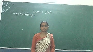 Class-2/EVS/Chapter-9/Plants/Exercise part-1