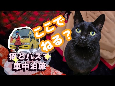 【猫と車中泊】道の駅猪苗代湖に前のり　黒猫とマジシャンが猪苗代湖オートキャンプ（２泊３日）②　　#マジシャンkassy 　#旅猫ジジ　＃猫と車中泊　#旅芸人