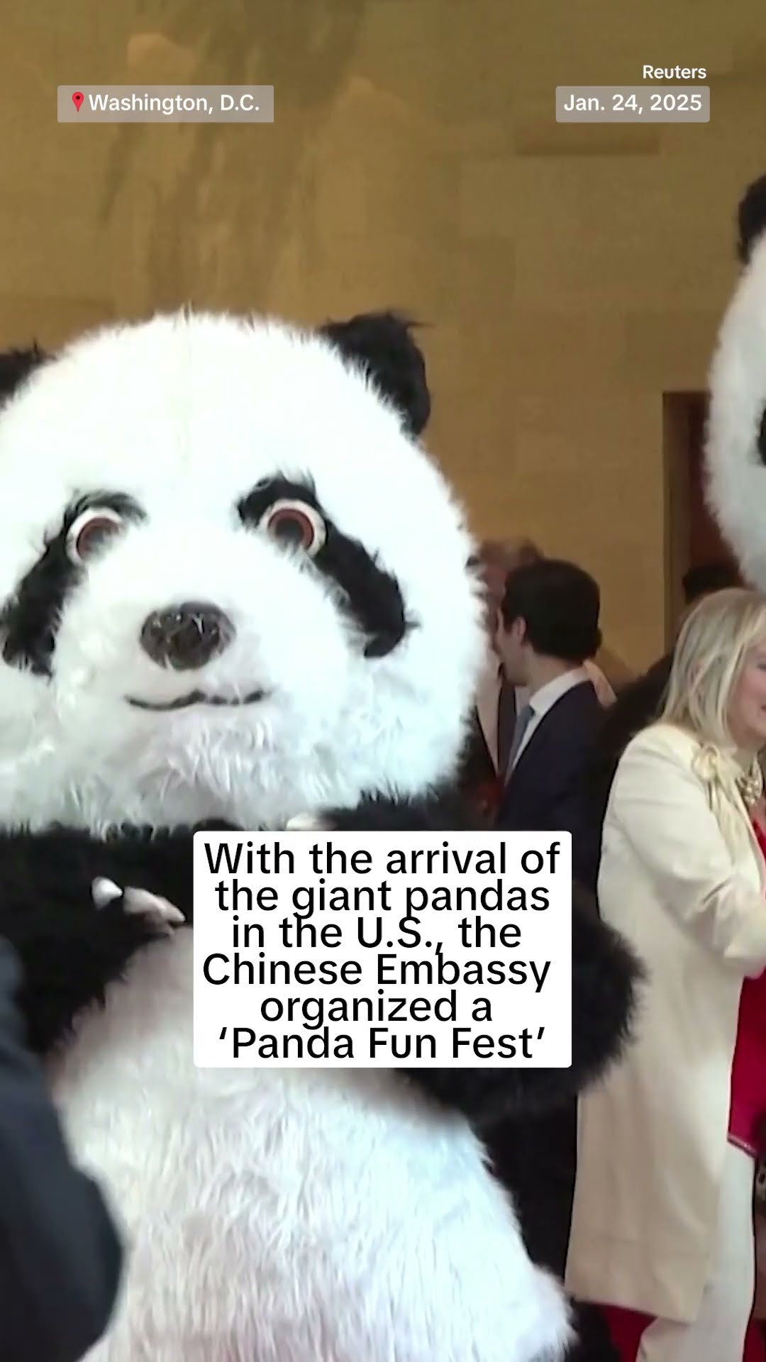 Chinese embassy in US celebrates 2025 Chinese New Year with panda-themed reception