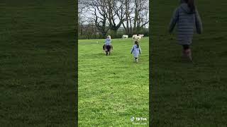 Teach Them Young #Youtubeshorts #Farming #Sheep #Viralshorts