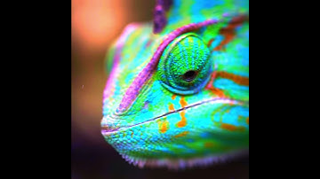 Drone Chameleon
