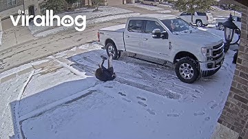 Texan Woman Unexpectedly Falls on Ice || ViralHog