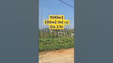 1 sào thổ cư sát bên qlo 20, Đại Lào, Bảo Lộc #datbaoloc #batdongsan #muabandatgiare