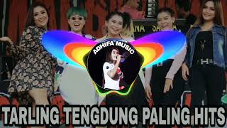 Tarling tengdung pesisir balongan vocal Rien safitri