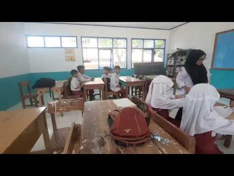 WhatsApp Video 06/02/2026 at 19:32:08