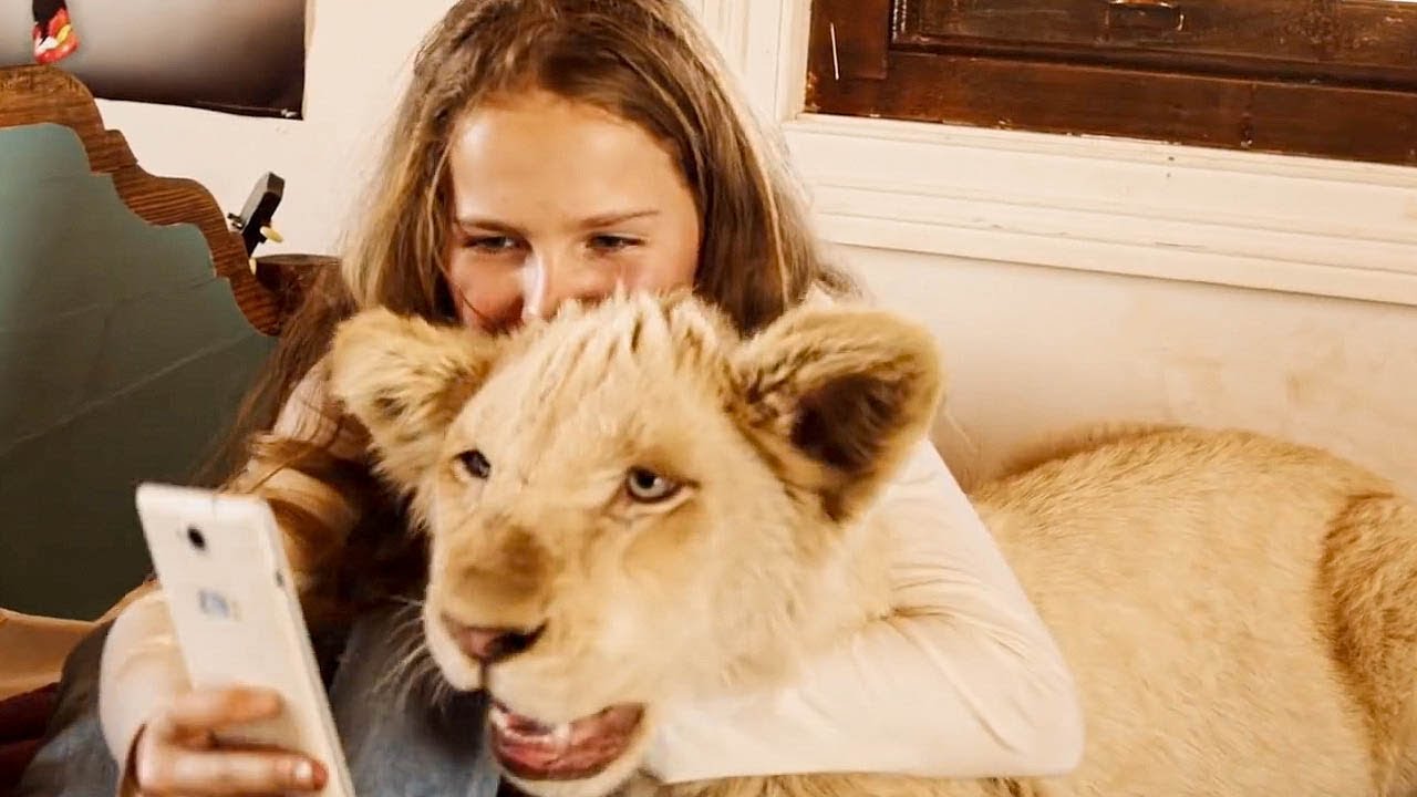 Mia and the White Lion Official Trailer In US Theaters April 12 The Lion Whisperer YouTube Mia and the White Lion Official Trailer In US Theaters April 12 The Lion Whisperer YouTube