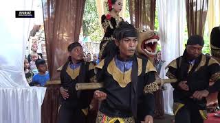 ANDI PUTRA 1 ATRAKSI SINGA    DS GAGASARI CIREBON