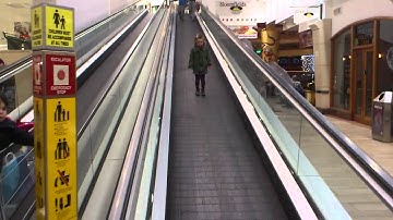 Hazel on escalator ramp