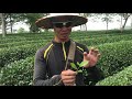 Petit cours sur la fabrication et la production du th par notre guide duc