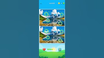 Level 83 Spot and Find the Differences
