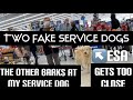 TWO FAKE SERVICE DOGS! TOO CLOSE AND BARKING AT MY SERVICE DOG