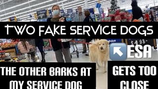 TWO FAKE SERVICE DOGS! TOO CLOSE AND BARKING AT MY SERVICE DOG
