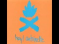 Hey Antoinette! - Courtney Love (Lois Maffeo + Pat Maley band)  *Audio*