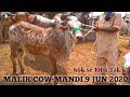 60k se 100k TAK K | MALIR COW MAND | June 9, 2020