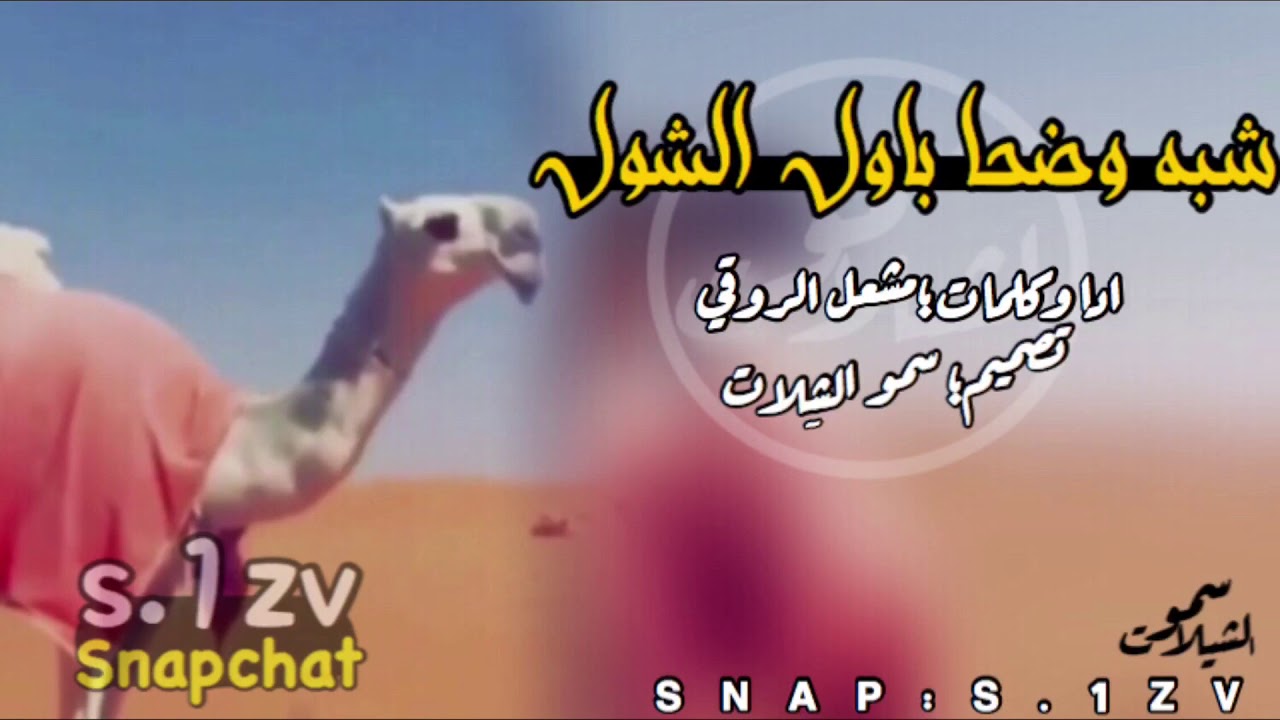 شيله| شبه وضحا باول الشول جذابه|ادامشعل الروقي٢٠١٩