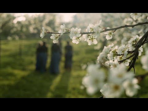 HAERI - მამლი მუხასაო - Mamli mukhasao