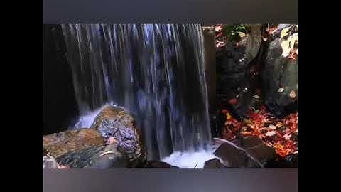 سورة الأعلى - القارئ محمد إرشاد مربعي