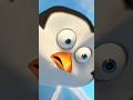 "Nature is Following Me! 🐧🔥 | Ultimate Penguin Swag"#panguin #shot #viral #edit