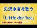 『Little darling』/矢沢永吉を歌う_246 by 自然の恵みに日々感謝