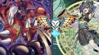 X-1 NEW FORMAT PURE! DRACOTAIL LIST! - W/ GREG AKA PEGASUS! #dracotail #fusion #yugioh #Branded