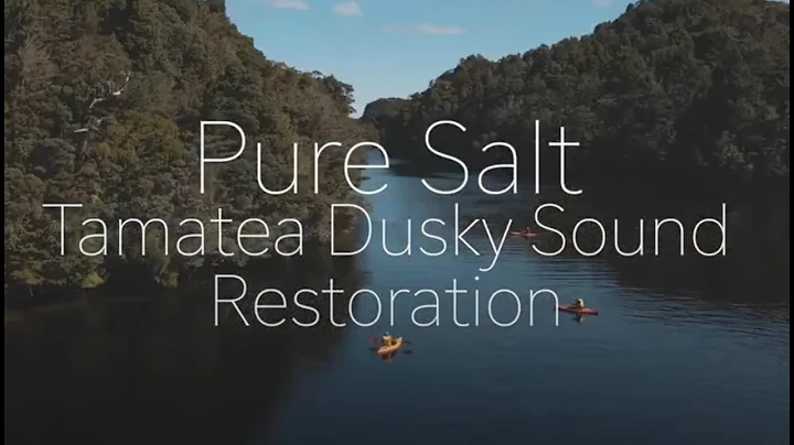Tamatea Dusky Sound Restoration