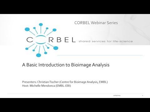 A basic introduction to bioimage analysis