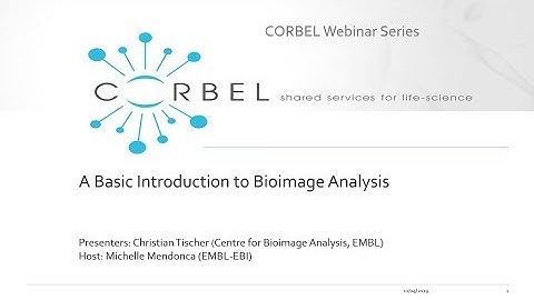 A basic introduction to bioimage analysis