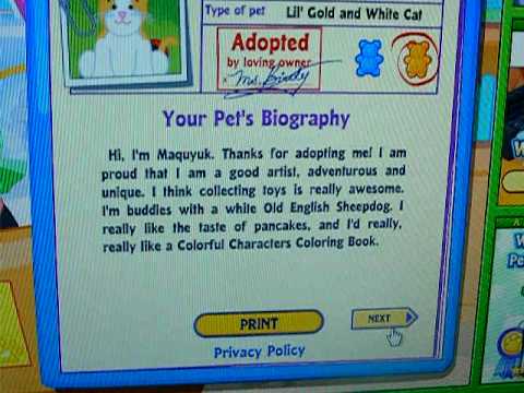 webkinz gold and white cat