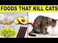 22 Common Foods That Will Kill Your Cat